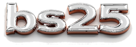 bs325 logo